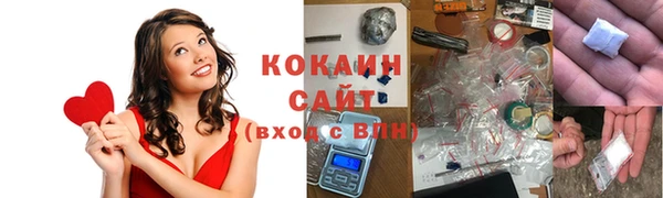 индика Алексин