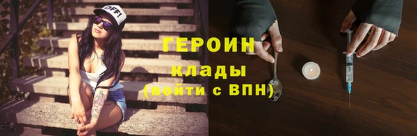 индика Алексин