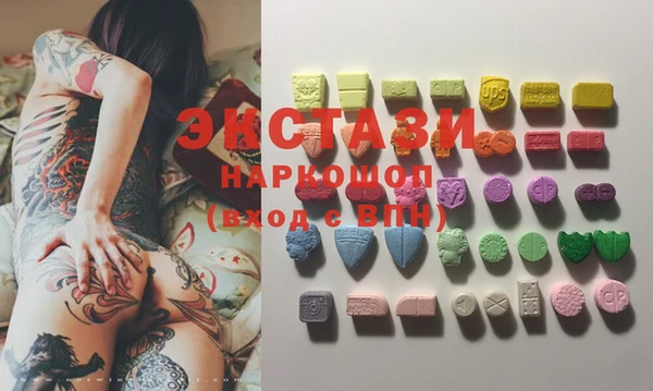 индика Алексин