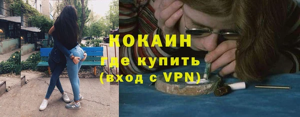 индика Алексин