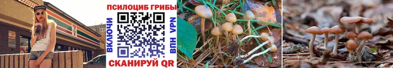 Галлюциногенные грибы Psilocybe  это официальный сайт  Кореновск 