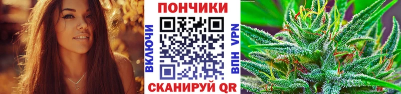 Бошки Шишки план Кореновск
